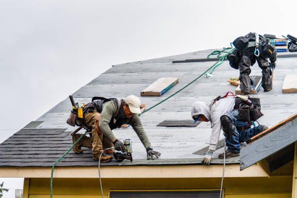 Professional Storm Damage Roof Repair technician working in Belleair Beach, FL
